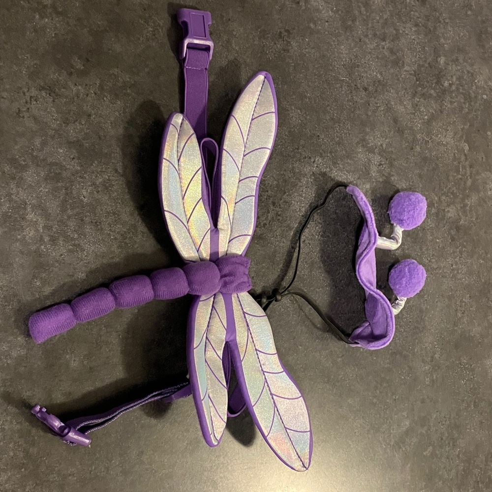 Purple Dragonfly Costume Set